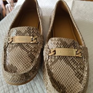 Women's Shoes